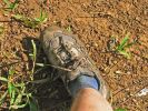 Powerline Trail south